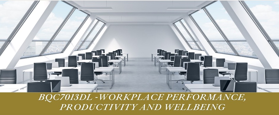 Workplace, Productivity and Wellbeing